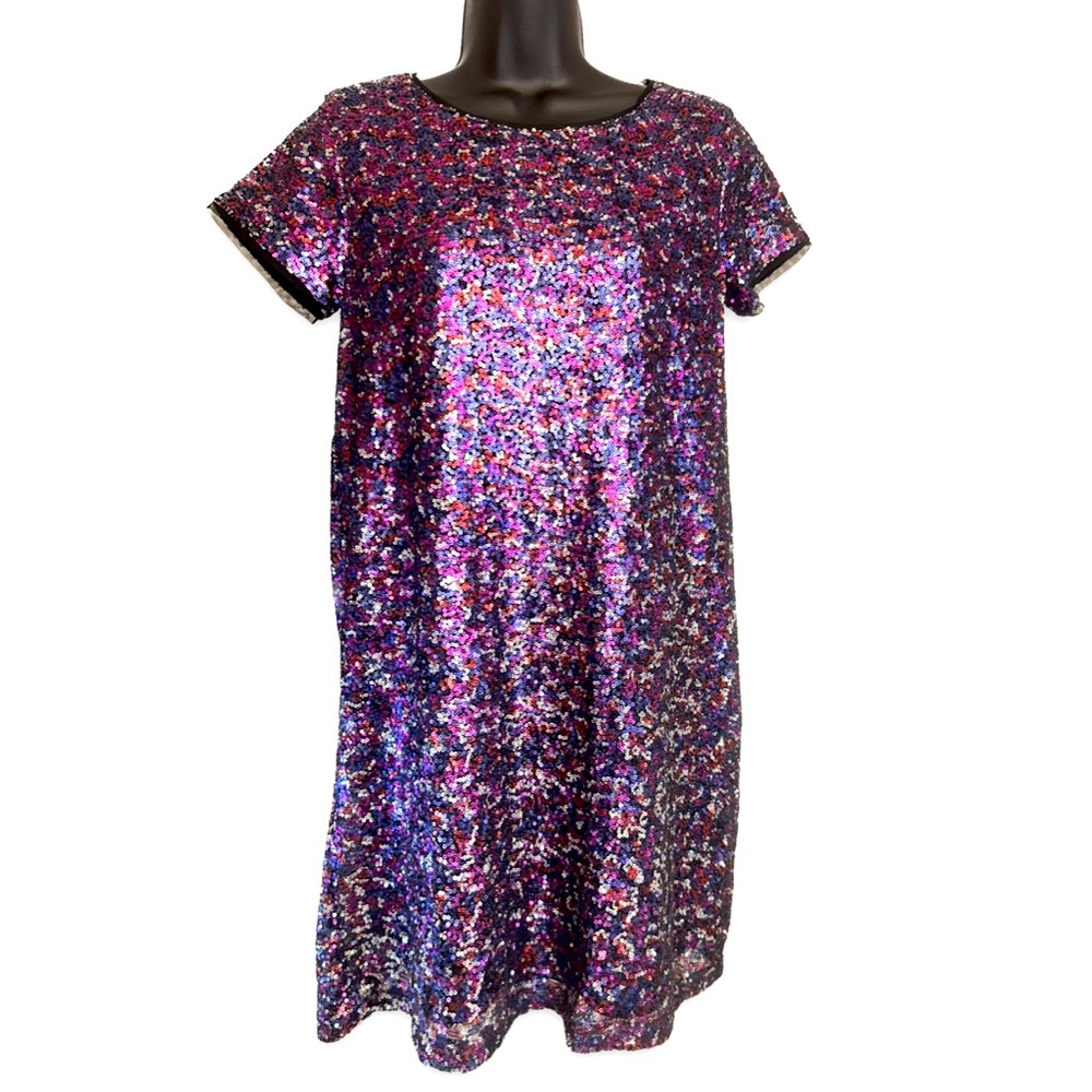 Gap Kids sequined dress size Kids XXL (14-16). Also fits a women’s size 6